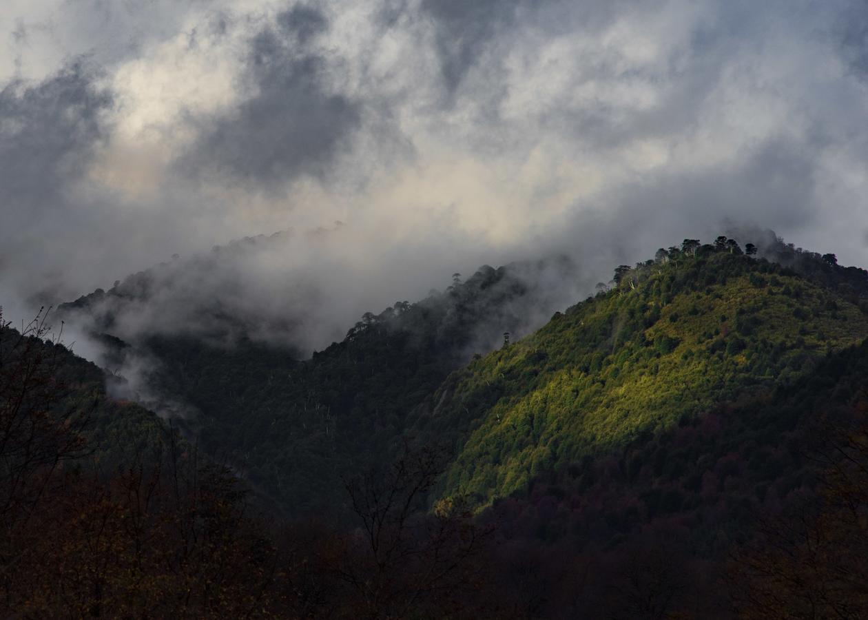 Willa Parque Amavida Malalcahuello Zewnętrze zdjęcie